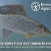 A Step-by-Step Guide to Buying a Fishing Licence in the UK"