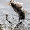 Barramundi and Best fishing locations in Australia