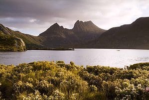 Tasmania