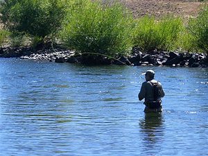 Argentina Fly Fishing