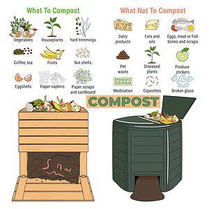 Compost Types For Wormery