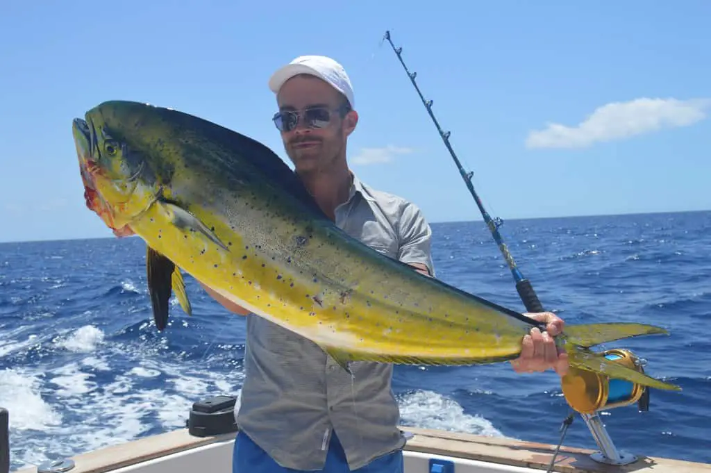 Dorado Fish