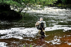 Rapids Wading