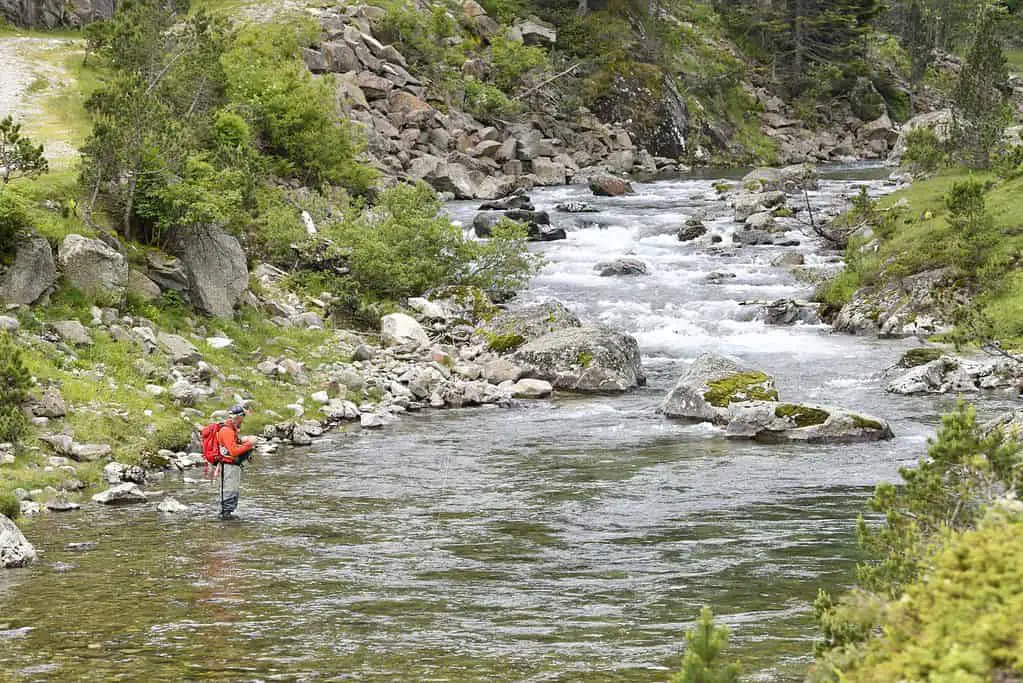 Trout Fishing