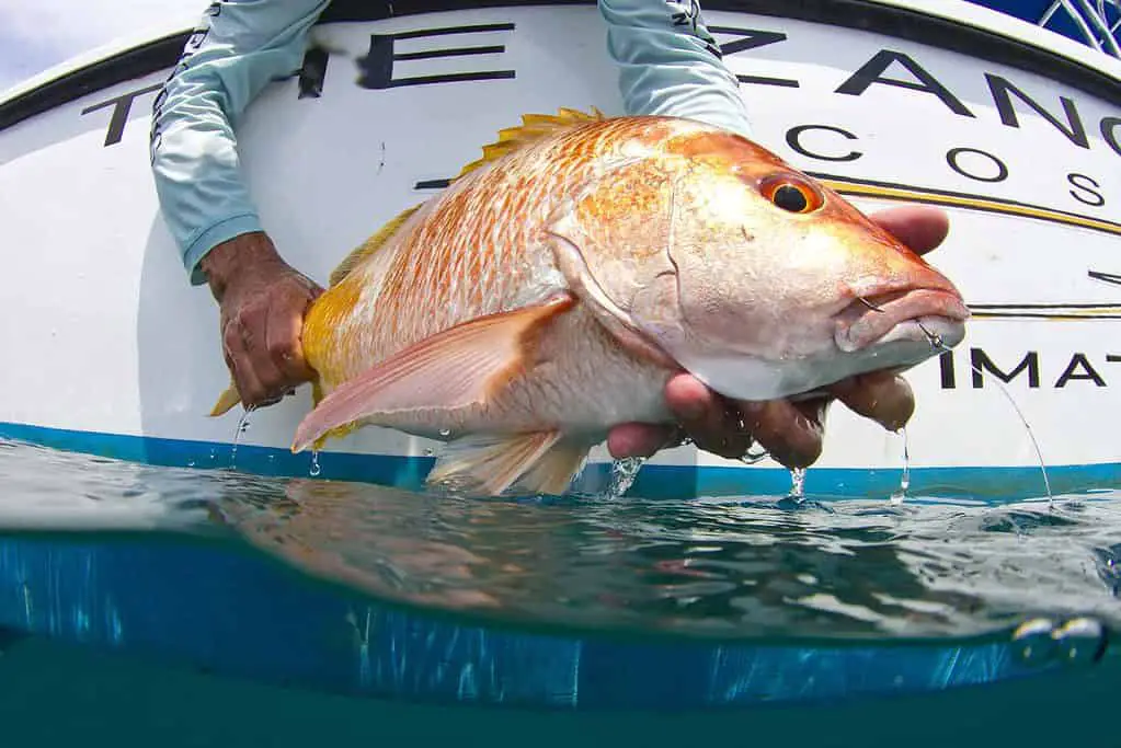 Zancudo Lodge fishing