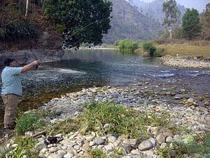 Fly fishing for Mahseer india