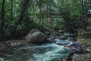 Jim Corbett national park