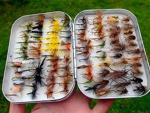 My Organised Fly Box