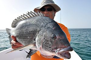 Oman Bream