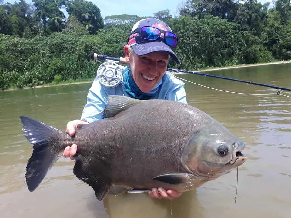 Pacu Bolivia