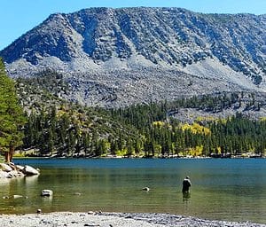 alpine lakes fly fishing