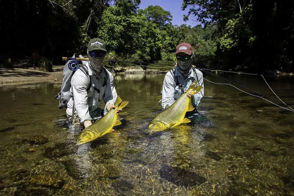 fly fishing bolivia