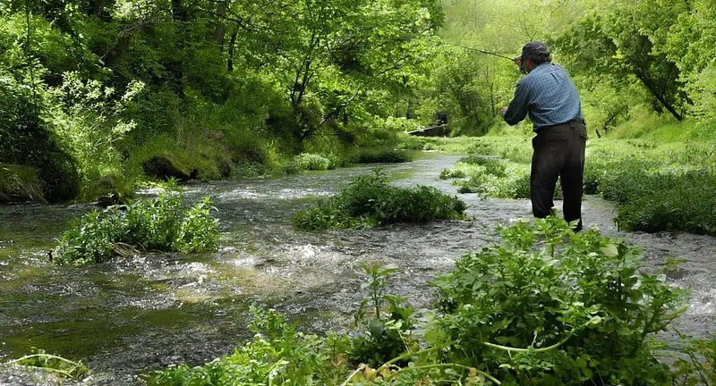 Fish the riffles with Nymphs