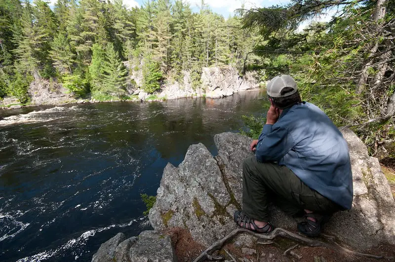 Looking out for fish rises