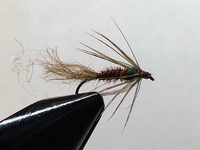 Pheasant Tail Fly