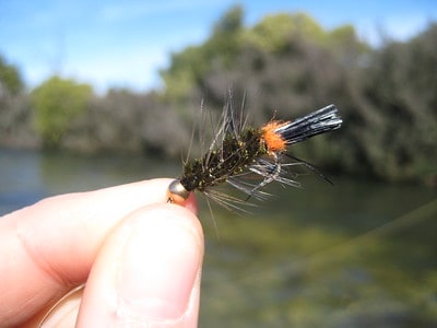 Woolly Bugger