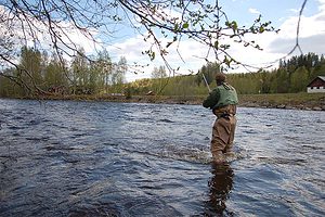 pocket water fly fishing