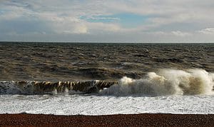 winter dungeness