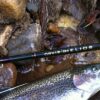 The Orvis Helios 3D fly fishing rod, is it the best ever?