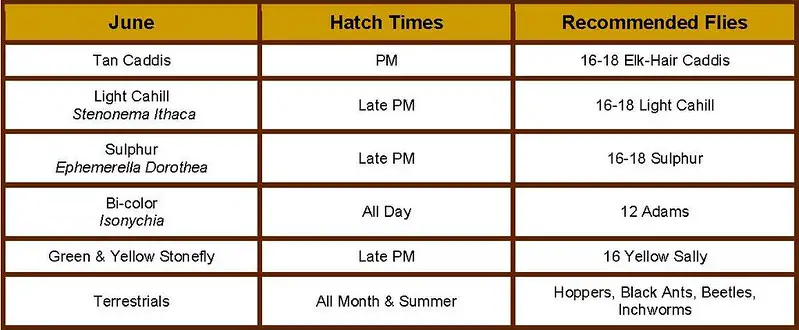 Monthly Hatch Chart