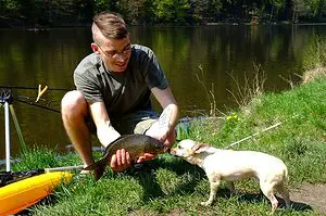 Dog Getting use to fish