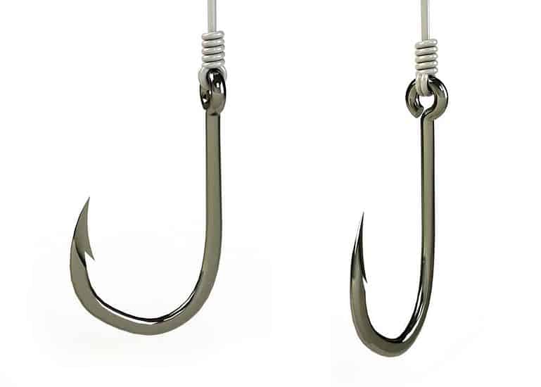 Barbed vs. Barbless Hooks Which Should You Use When Fishing?