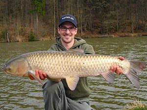 Grass carp