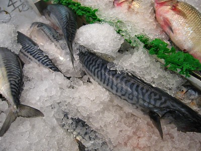 Mackerel Fishing Bait 1