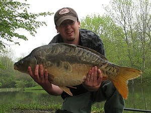 Mirror carp