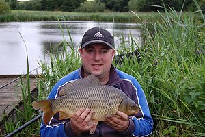 carp on the feeder