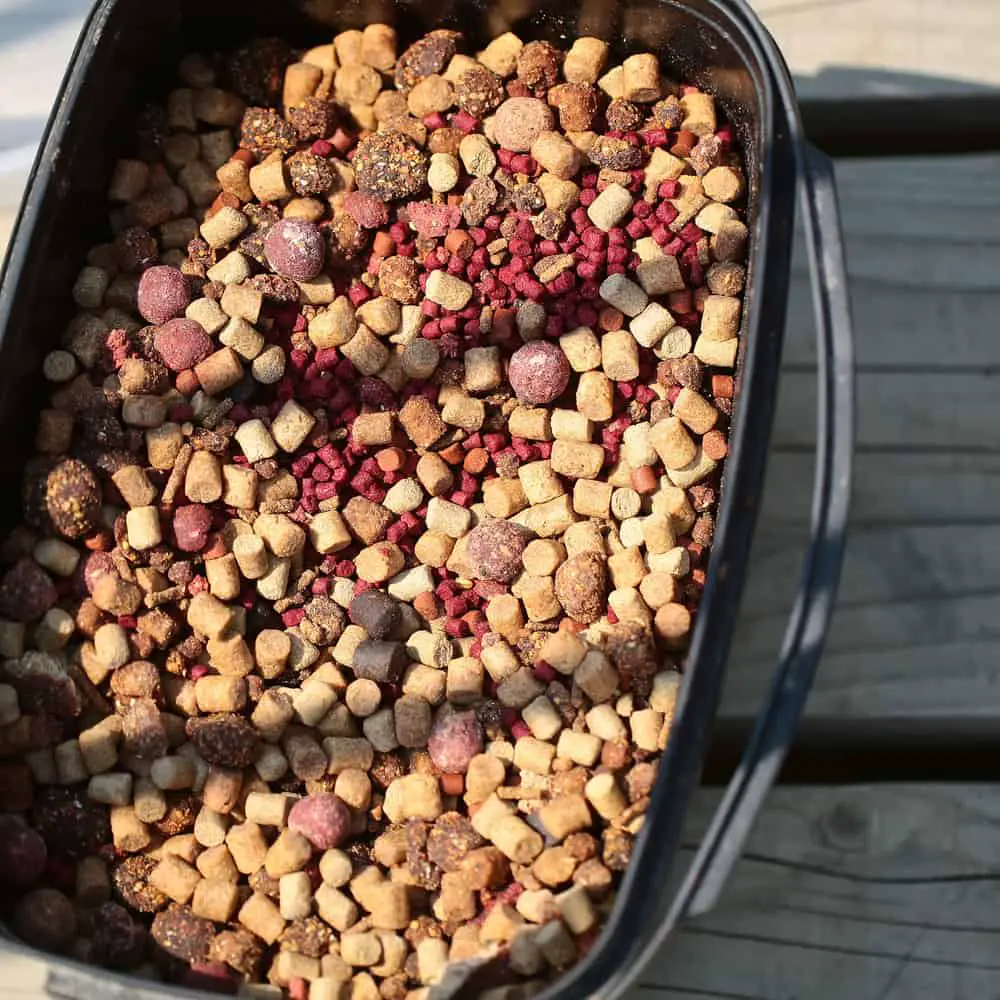 mixed pellets and boilies