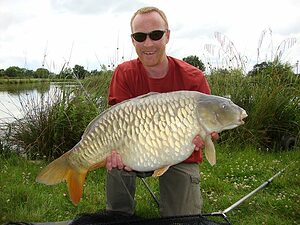 Fully scaled mirror carp