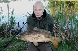 Linear carp