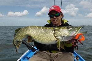 Pike caught with chatterbait