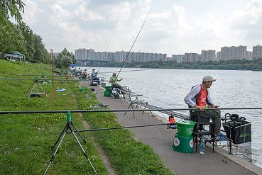 Selecting the Best pole fishing rollers