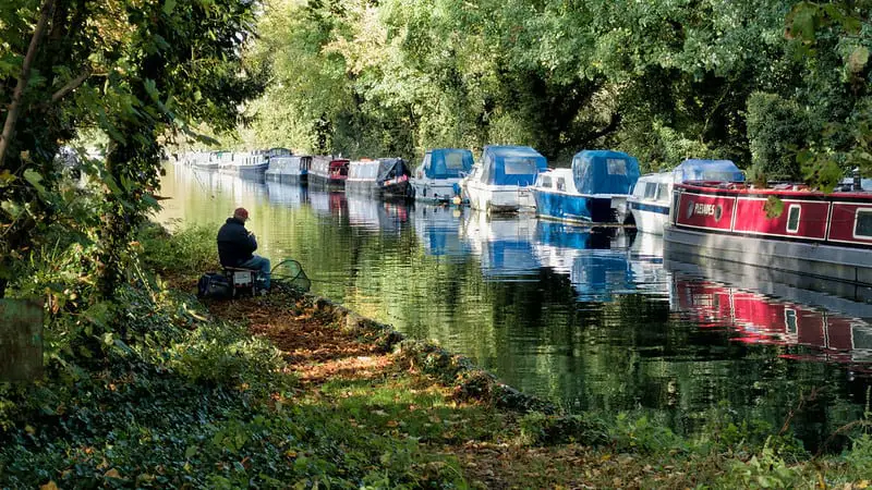 Canal Fishing For Beginners: Tips, Tactics, And Gear