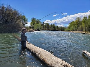 Wading when Euro Nymphing for trout