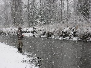 trout fishing in the snow