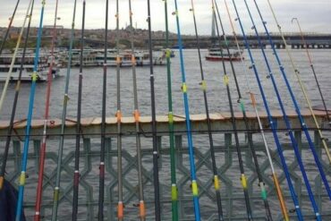 rod types for fishing
