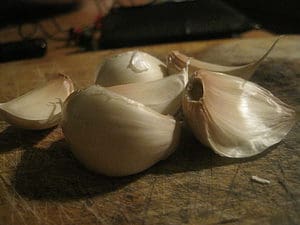 Garlic cloves for fishing