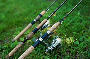 spinning rods