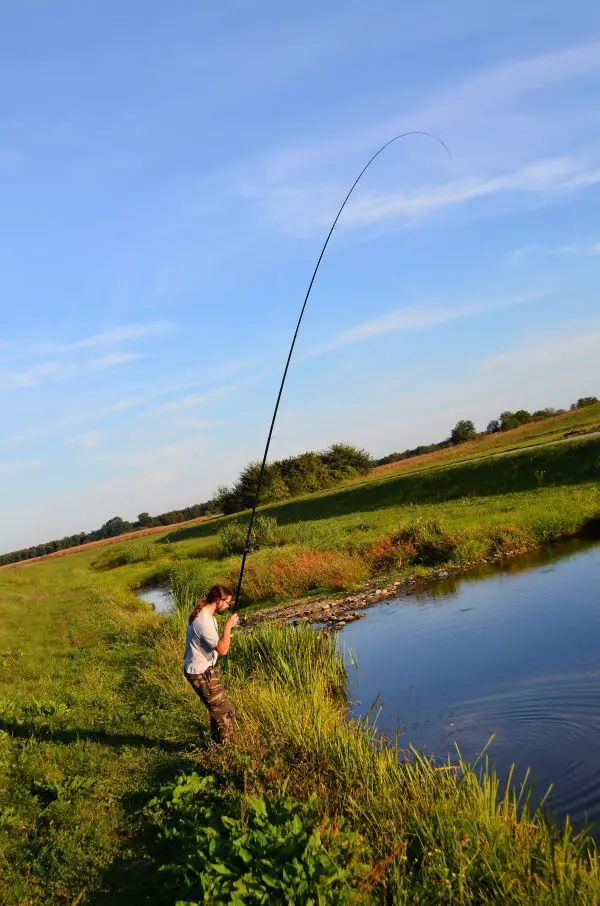 Bolognese fishing 1