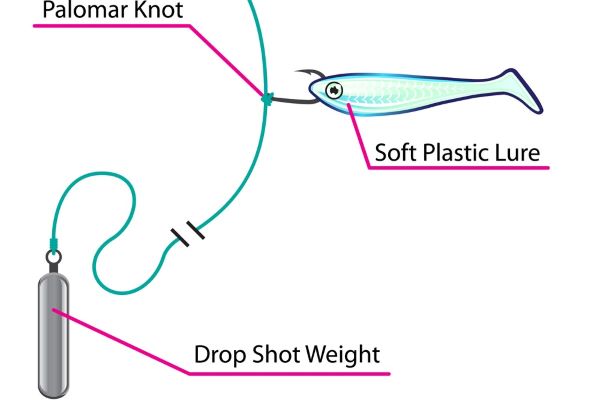 Drop shot rig