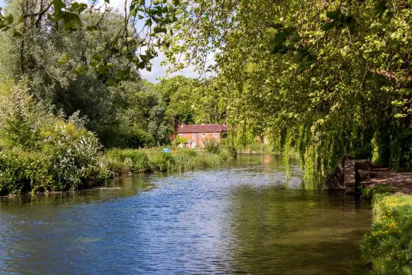 The River Itchen