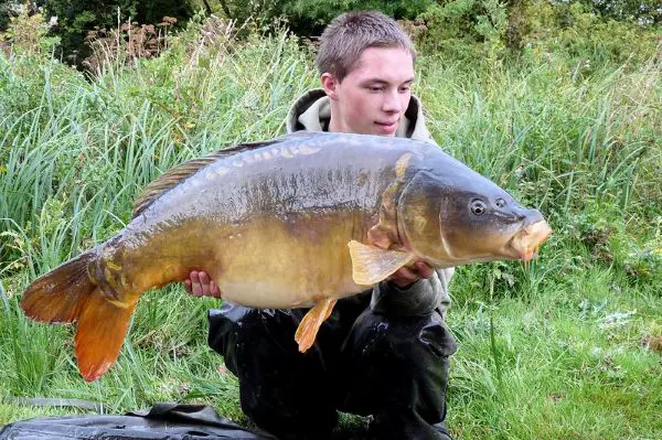 mirror carp uk