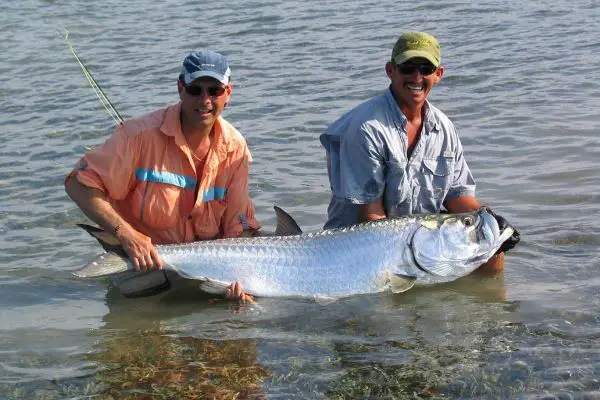 Isla de la Juventud tarpon