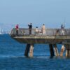 pier fishing for beginners