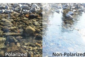 polarized view vs non polarized