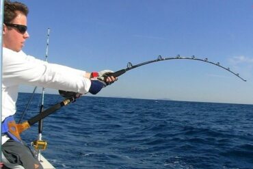 power and durability in fishing rods