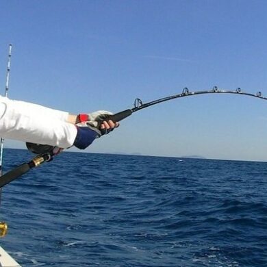 power and durability in fishing rods